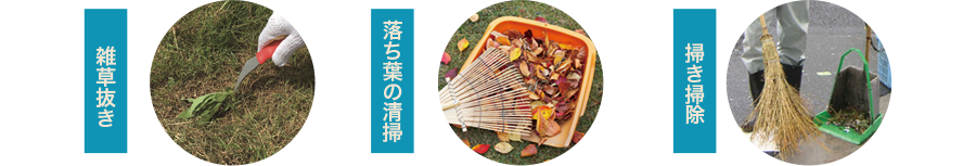 雑草抜き / 落ち葉の清掃 / 掃き掃除